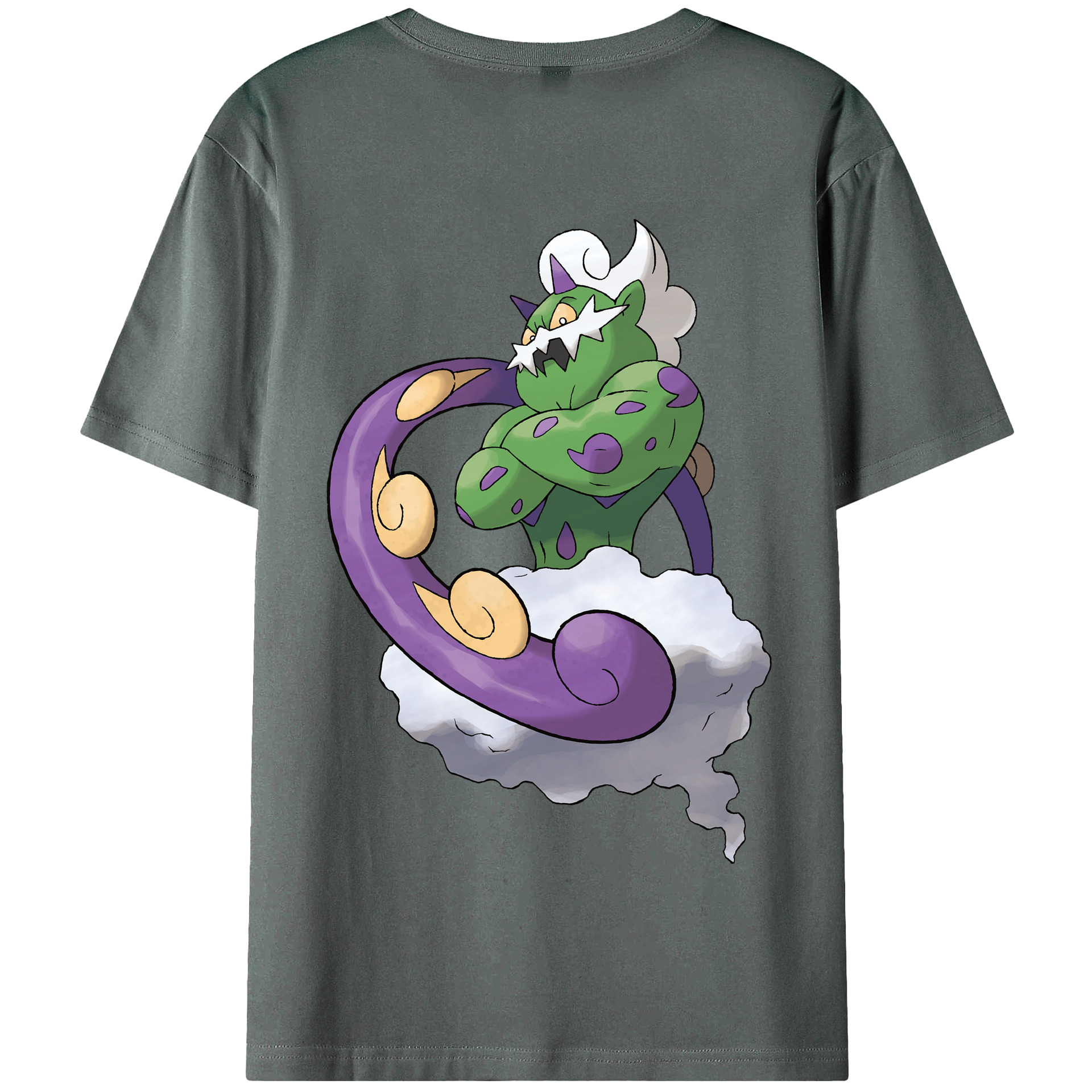 （画像用） ポケットモンスター Pokémon 綿100％半袖Tシャツ（背面プリント）